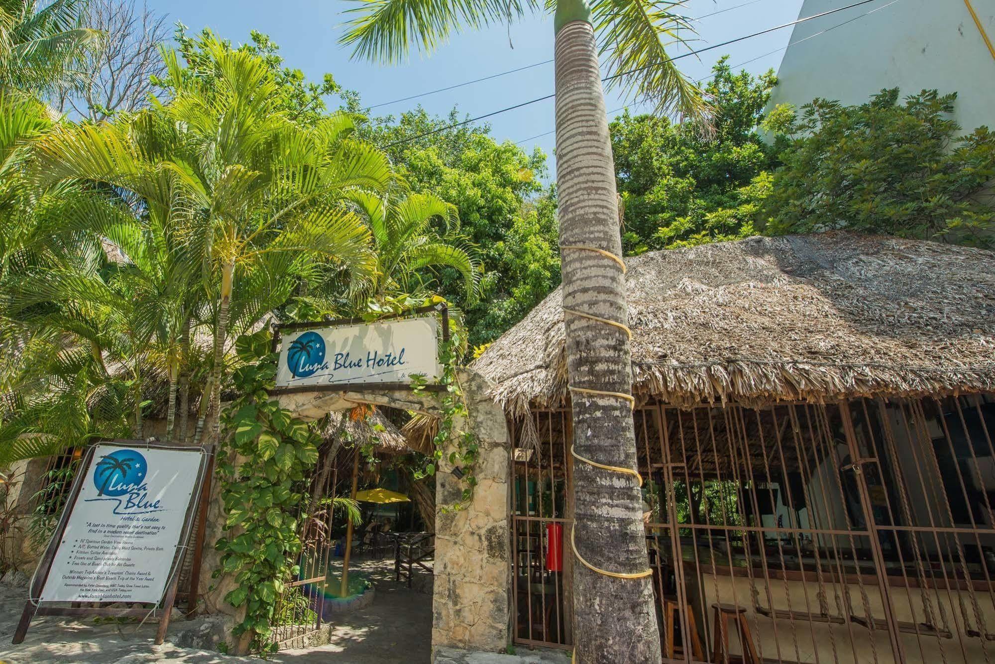 Luna Blue Hotel Playa Del Carmen Exterior foto